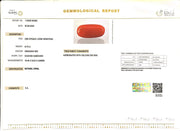 6.73/Carat Natural Cylindrical Red Coral (2100)